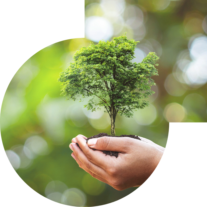 关怀人类、文化、环境与社会